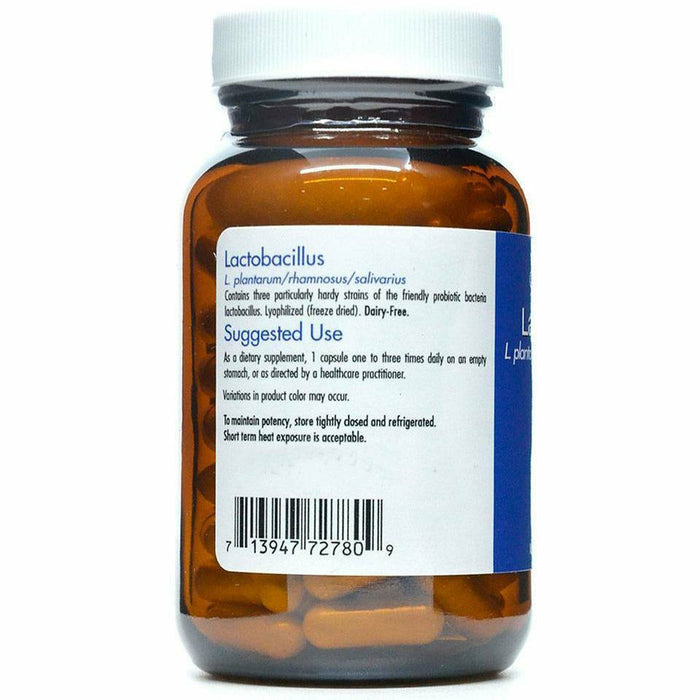 LACTOBACILLUS TB 50