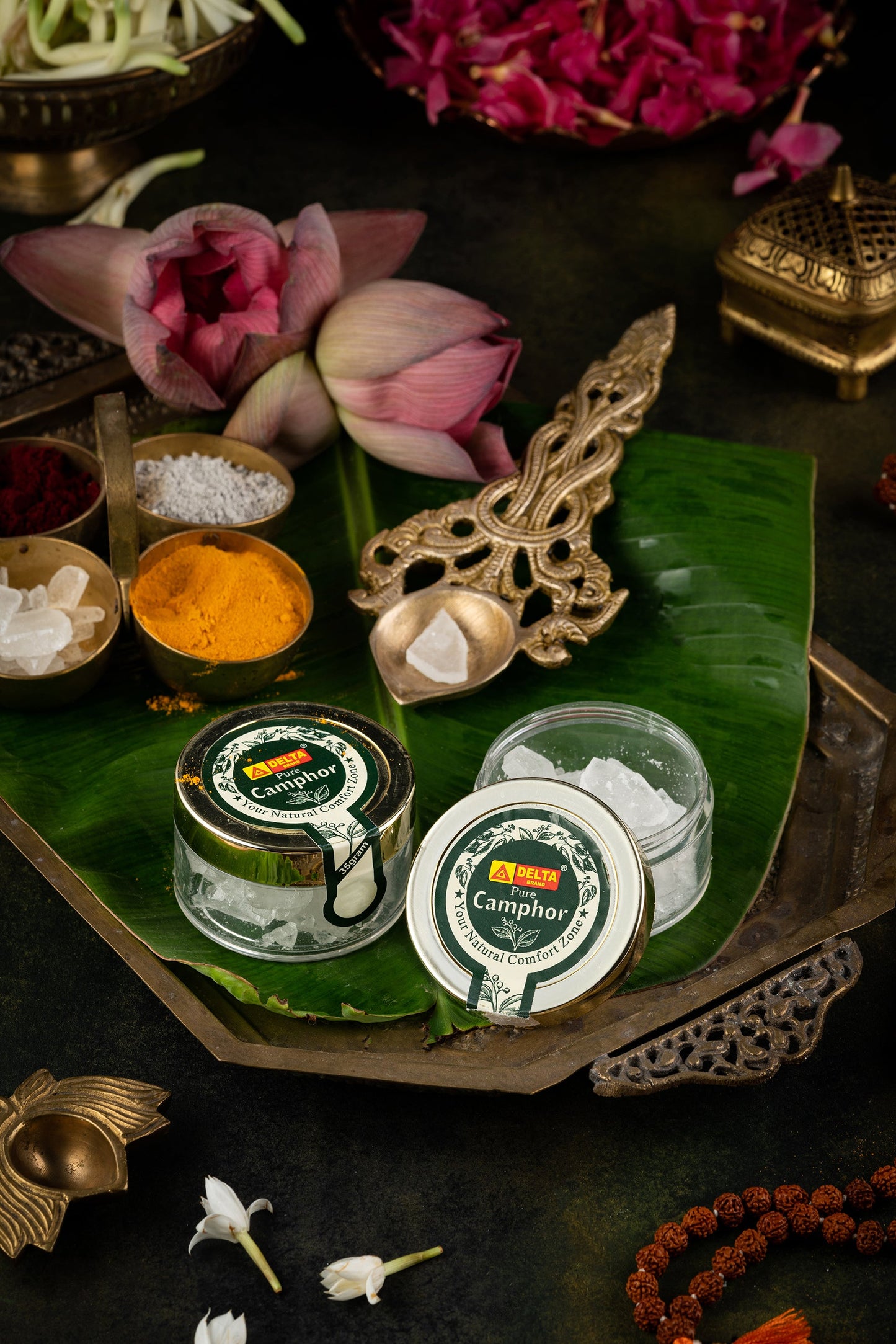 CAMPHOR POMADE 2.5OZ (DE LA CRU