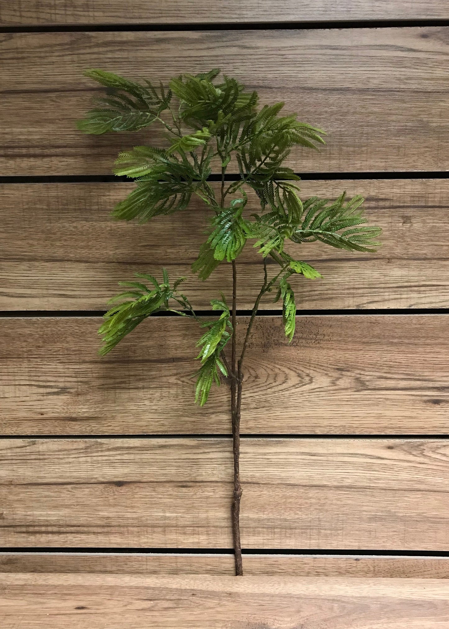ACACIA NF DS (SPRAY DRIED) PWD 100GM