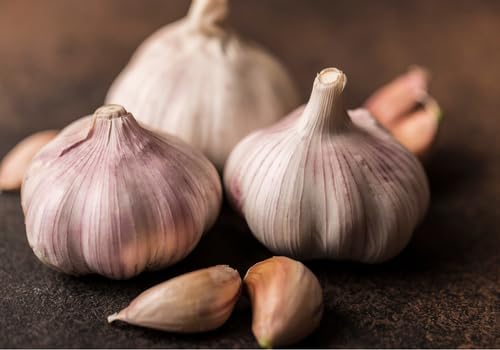 NATURE'S ANSWER GARLIC BULB