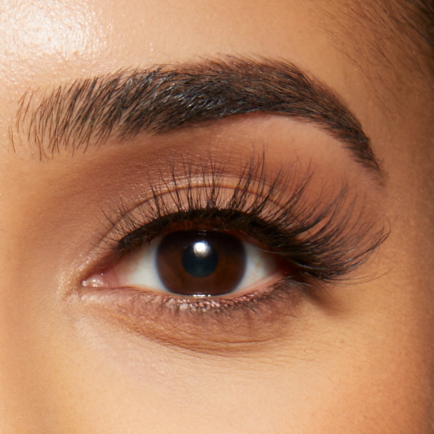 Kiss Lash Couture Masterpiece Avant-Garde