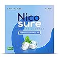 NICE LOZENGE ASSORTED SUGAR FREE 24CT