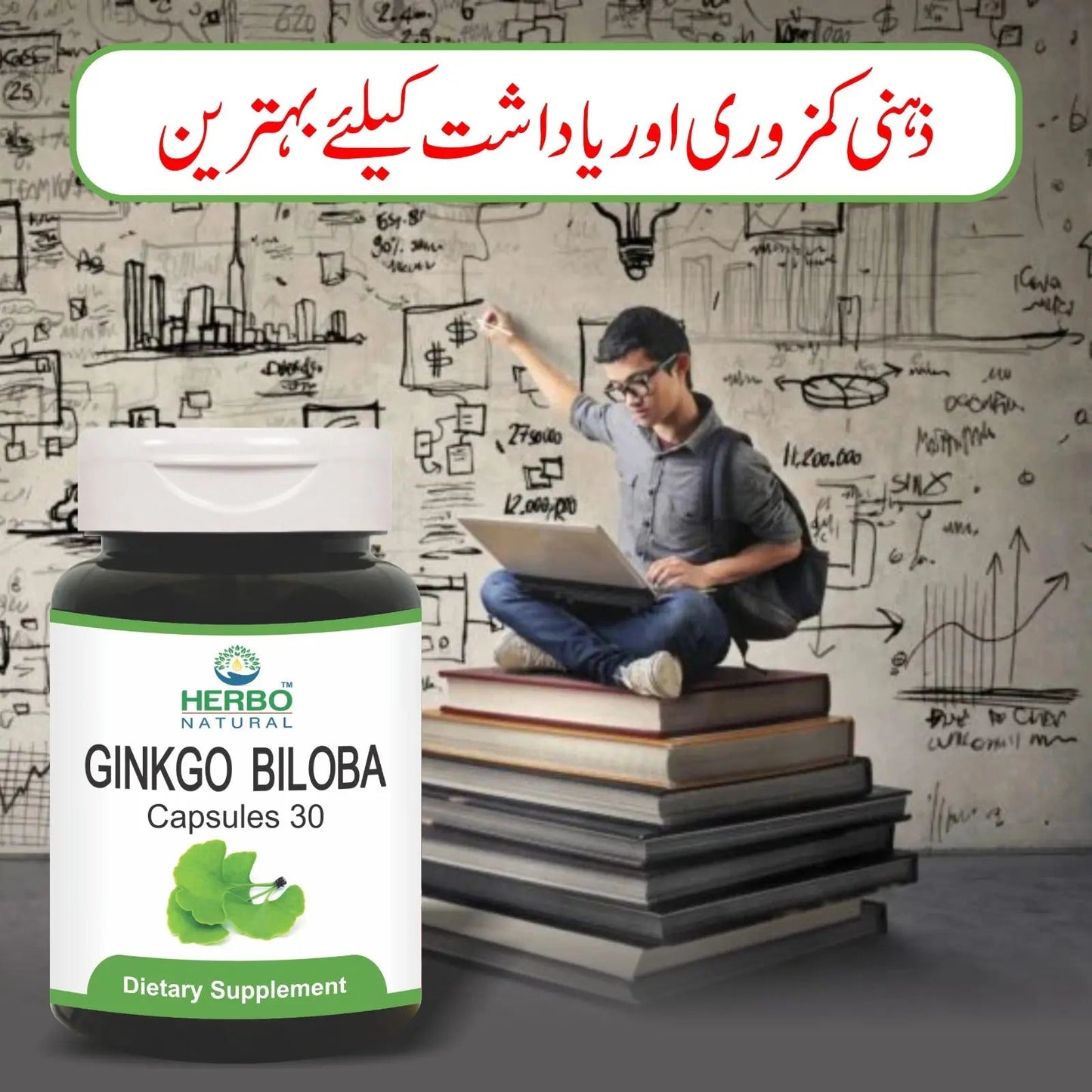 GINKGO BILOBA CAPSULES