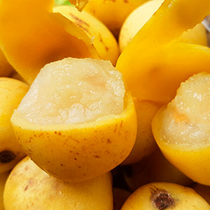 OGX MARULA OIL SHAMPOO 13Z
