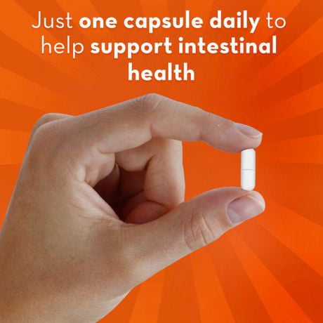 ALIGN PROB 24/7 DIGEST SPPRT 10MG CAP 42