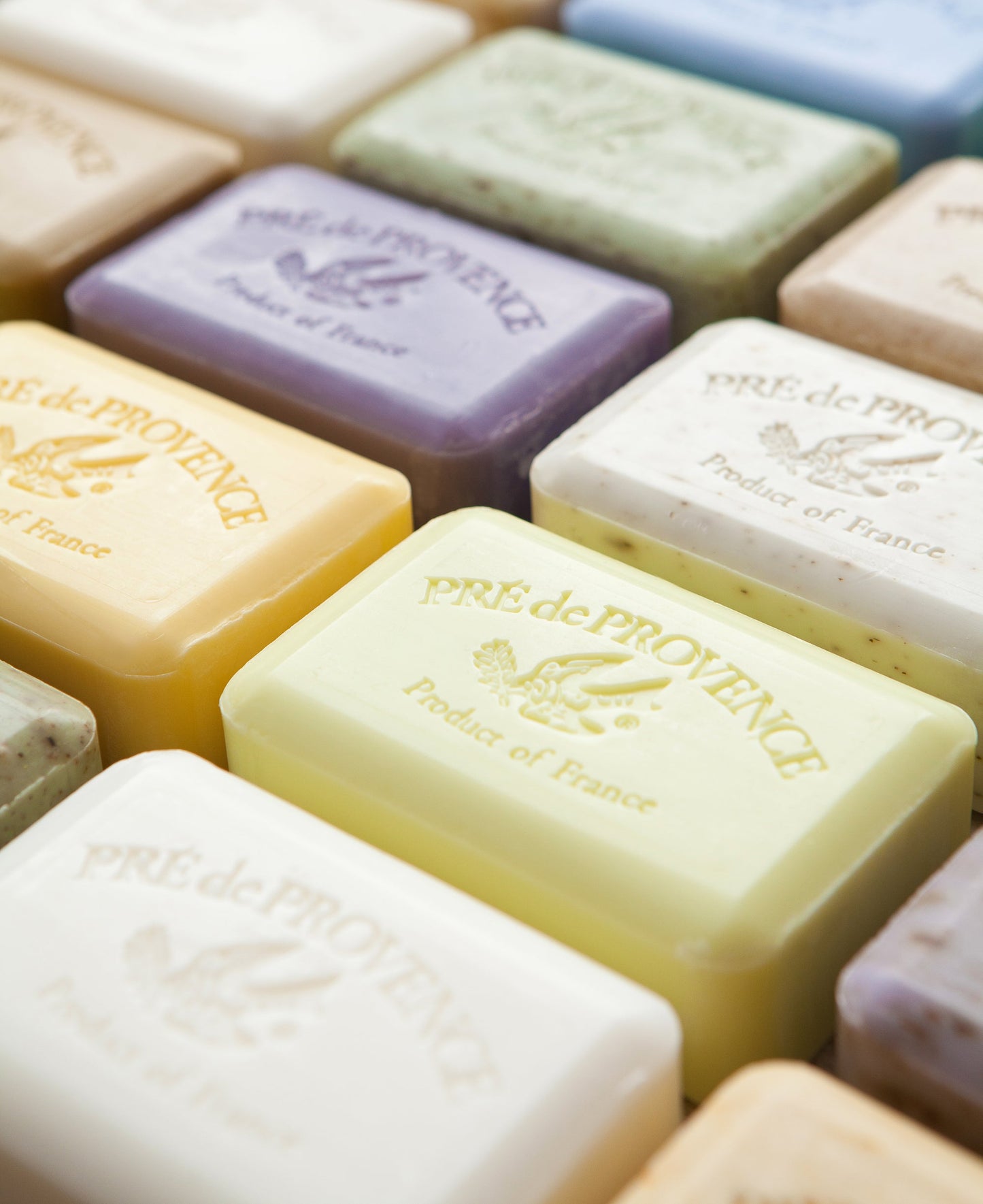 SOAP,BAR LAVENDER