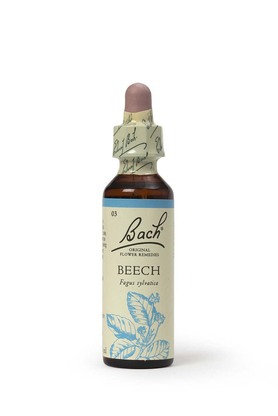 BACH BEECH