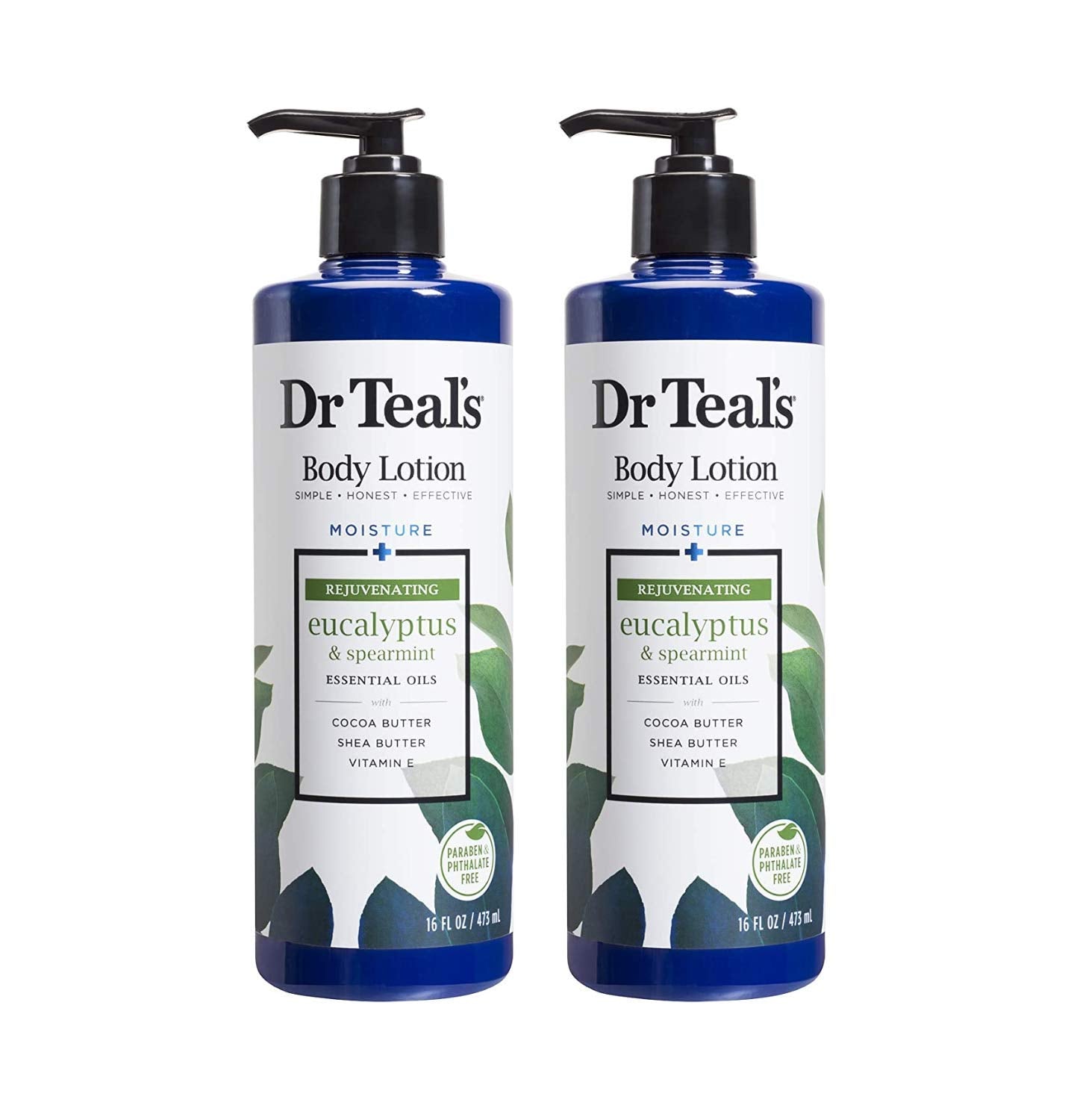 DR TEALS SEA KELP&ALOE LOTION16