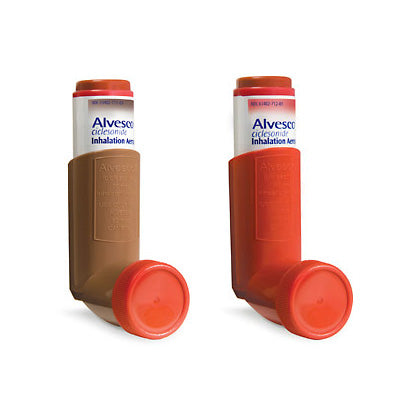 ALVESCO IN 80MCG 6.1GM