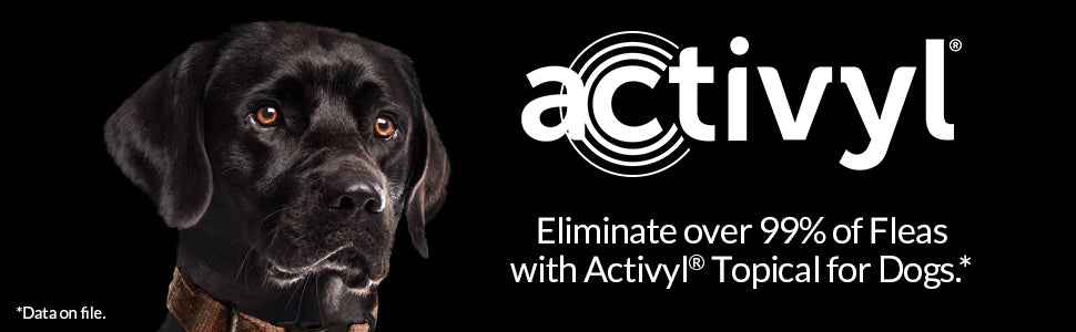 ACTIVYL DOG MED TURQ 3DS 22-44LBS