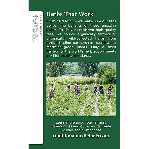 TRADITIONAL MEDICINALS HERB TEA,OG2,CHAMOMILE