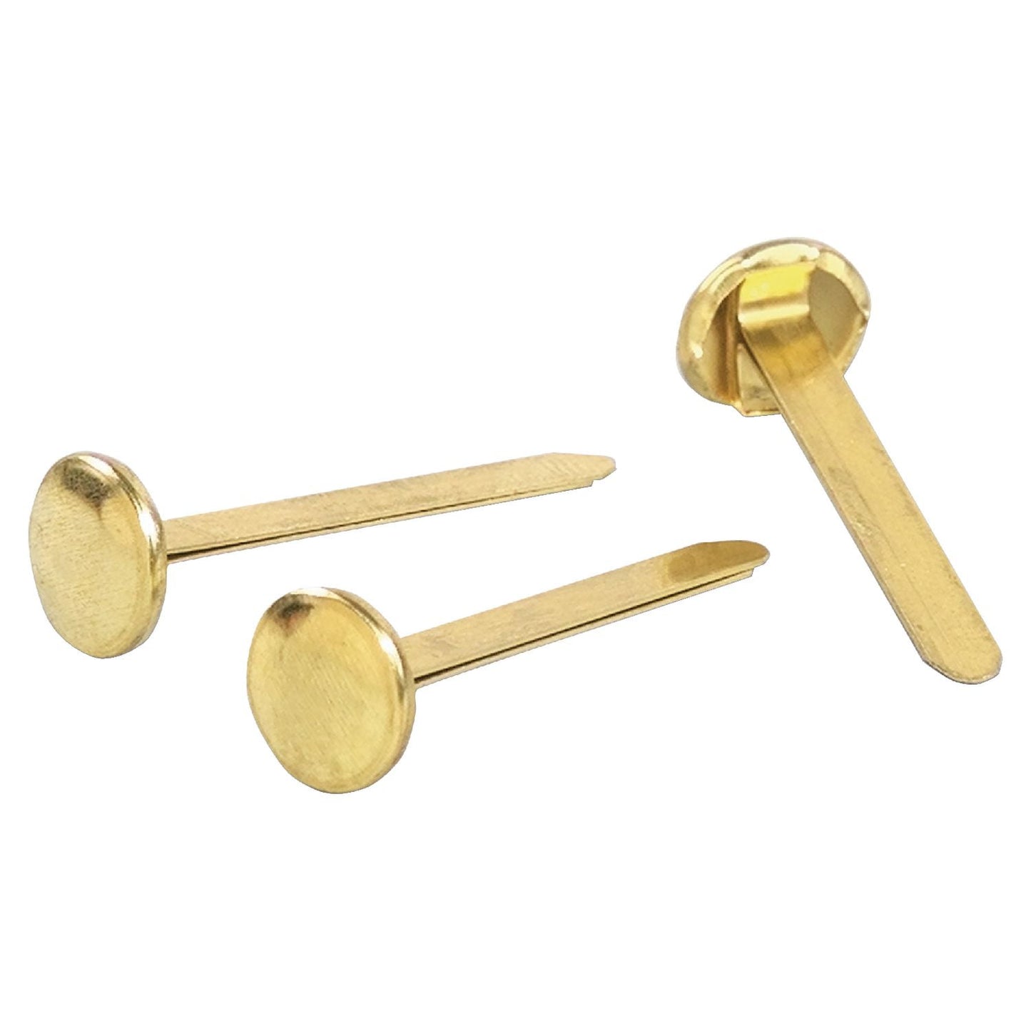 CLi Brass Plated .75" Round Head Fasteners, 50 count