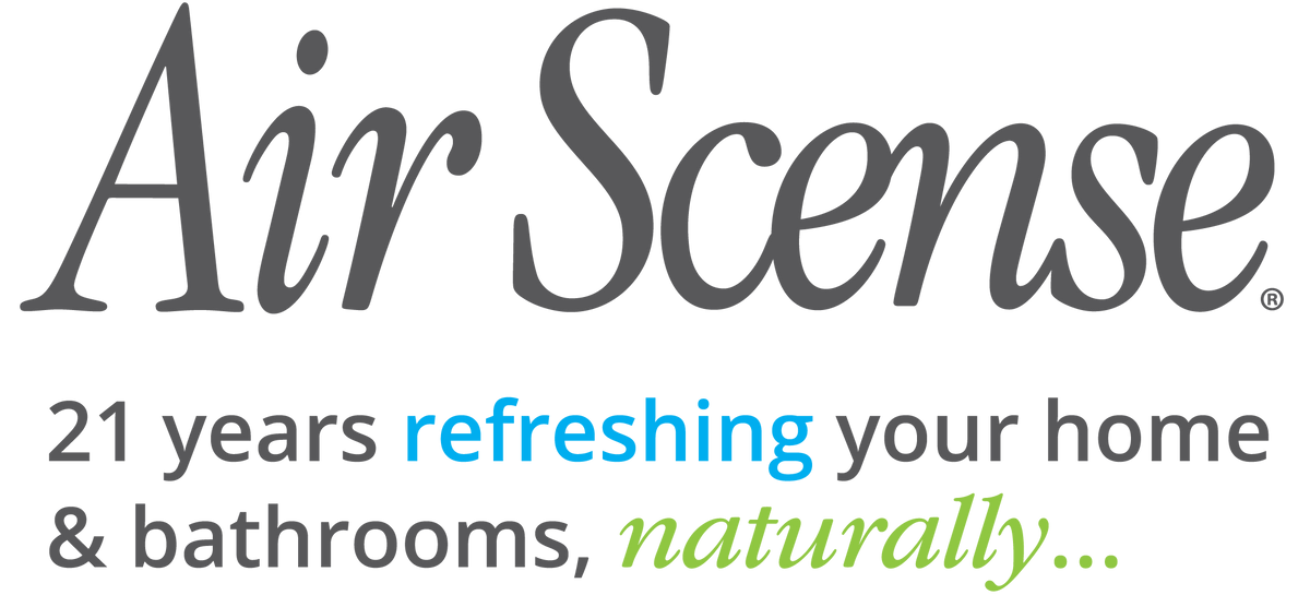 AIR SCENSE AIR FRESHENER,ORANGE