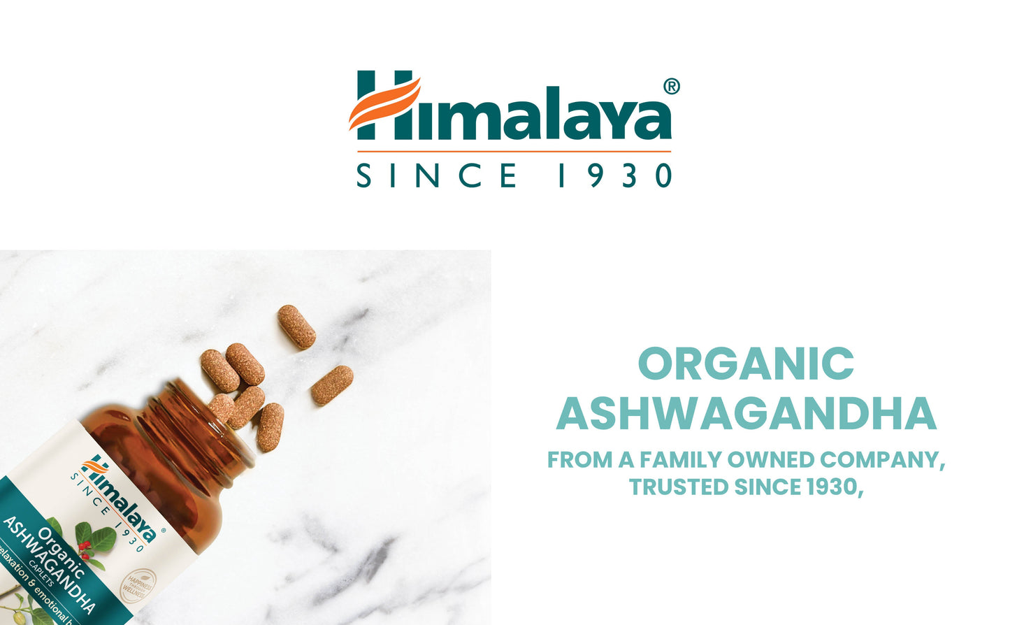 ASHWAGANDHA,BSL,HOLY