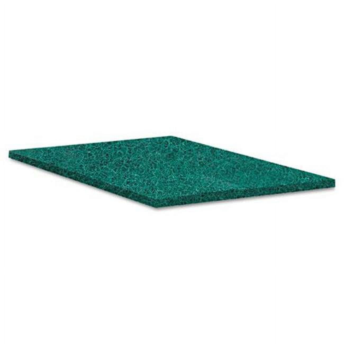 SCOUR PADS,PLNT BSD