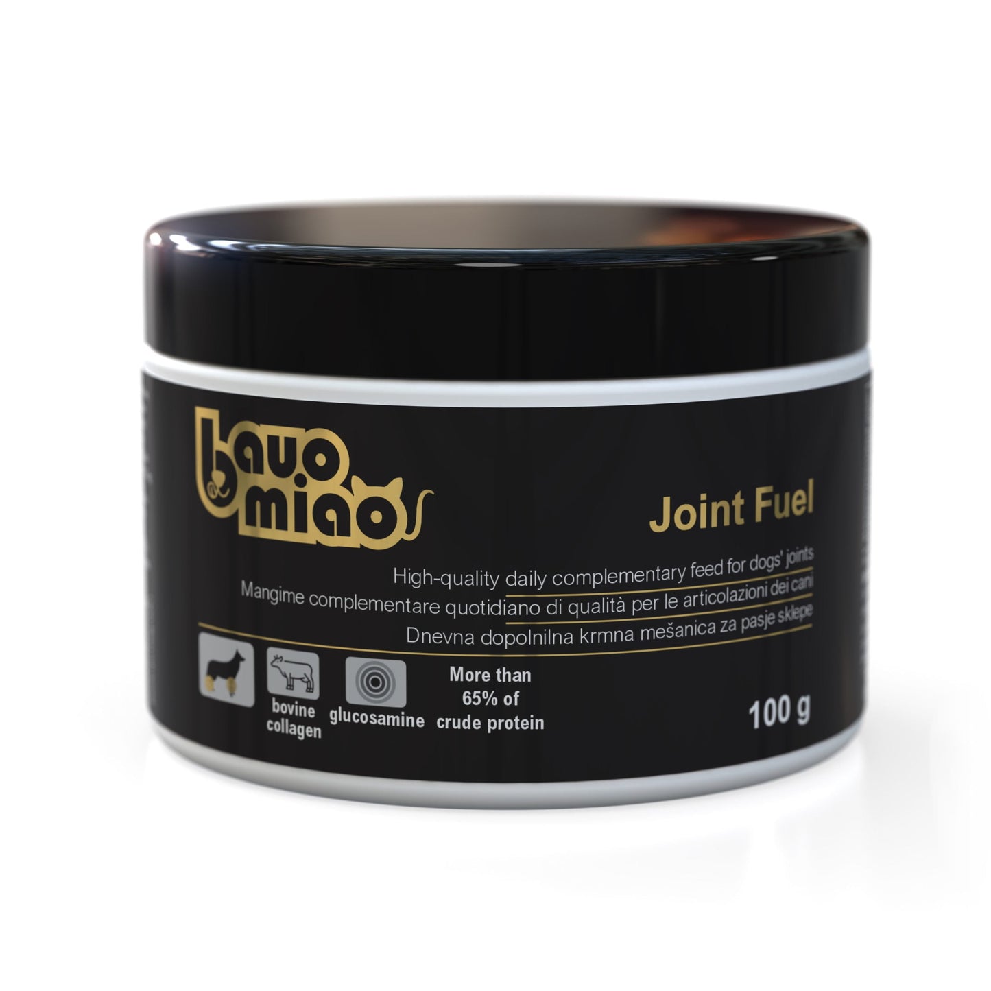 JOINT FUEL