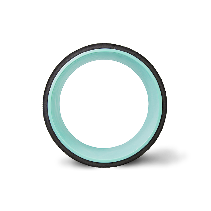 CHIRP WHEEL 10IN EQ FIRM WHL DSHP