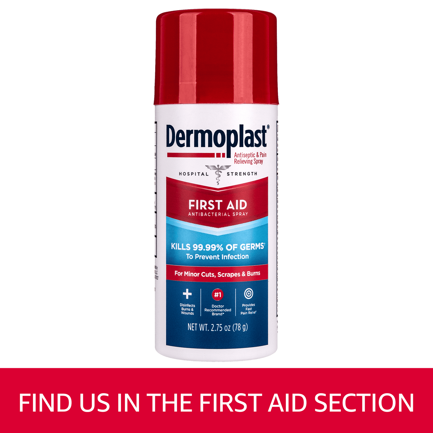 DERMOPLAST PAIN RELIEF SPRAY 2.75OZ