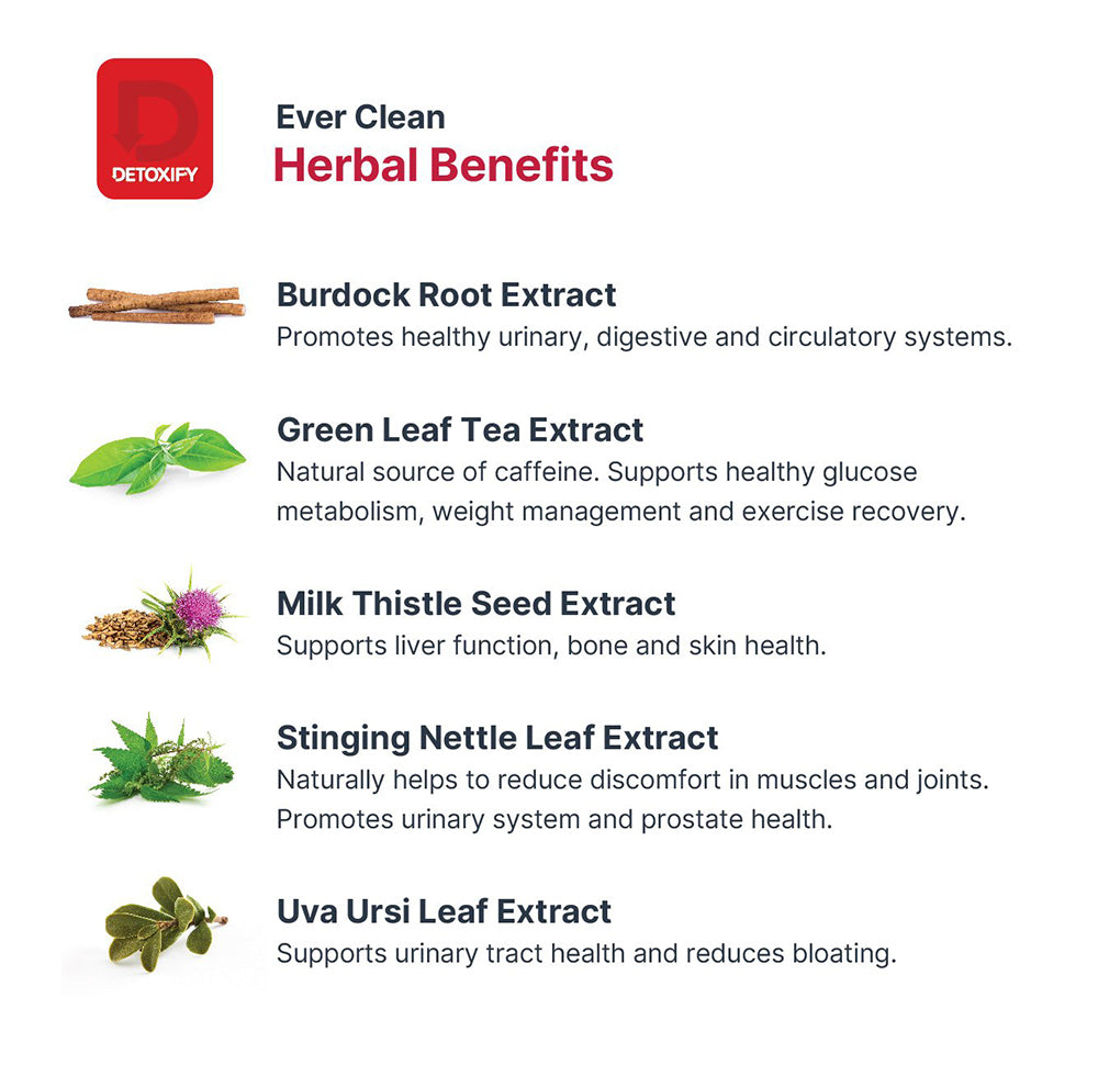 CLEANSE,EVERCLEAN,5 DAY