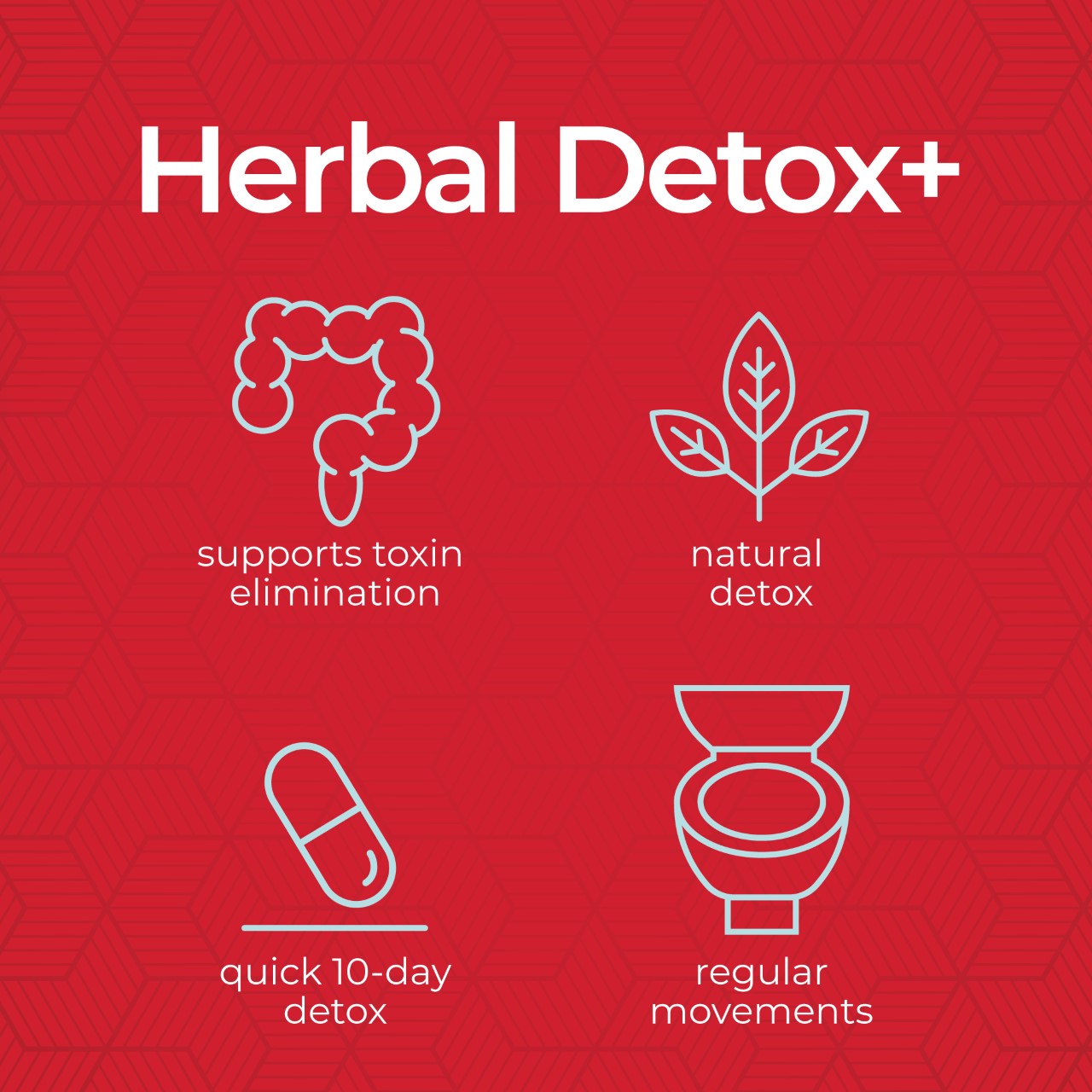 HERBAL DETOX,10 DAY CLNSE