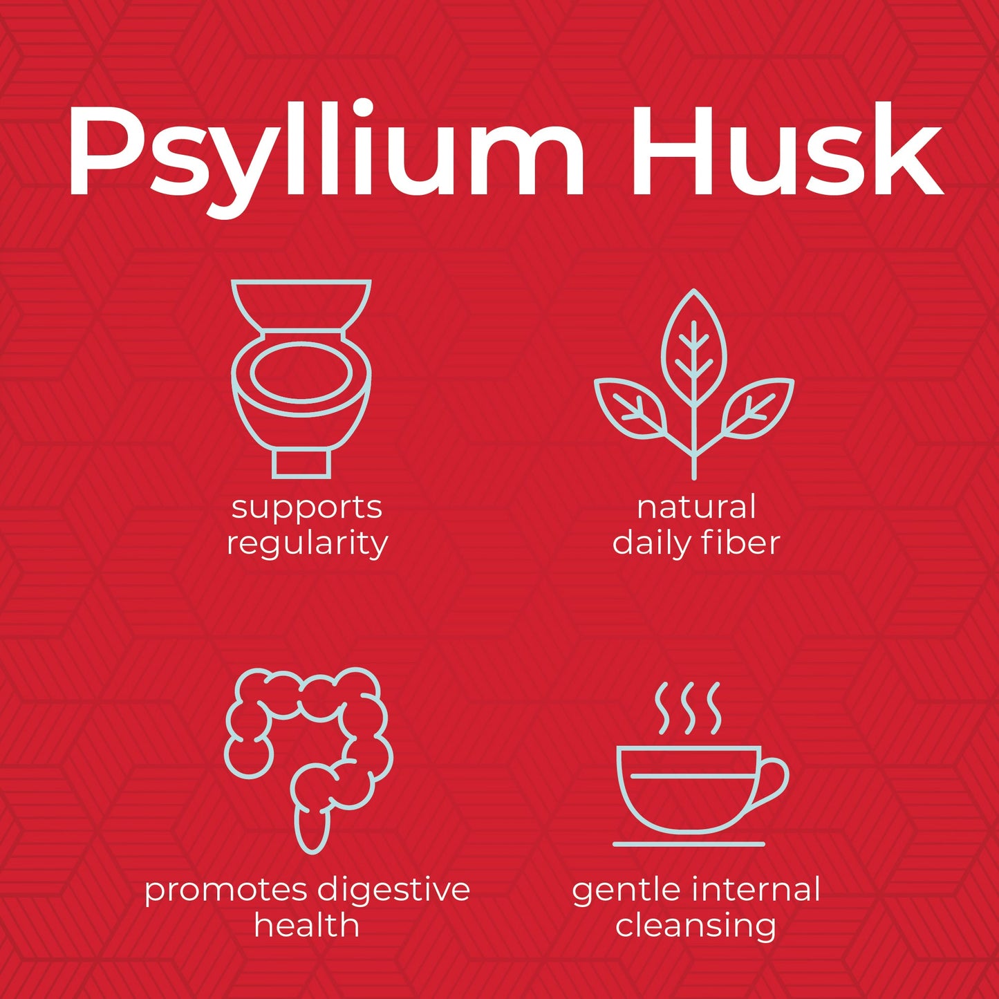 PSYLLIUM HUSK BAG