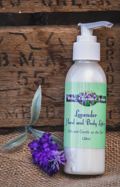 HAND LOTION,LAVENDER