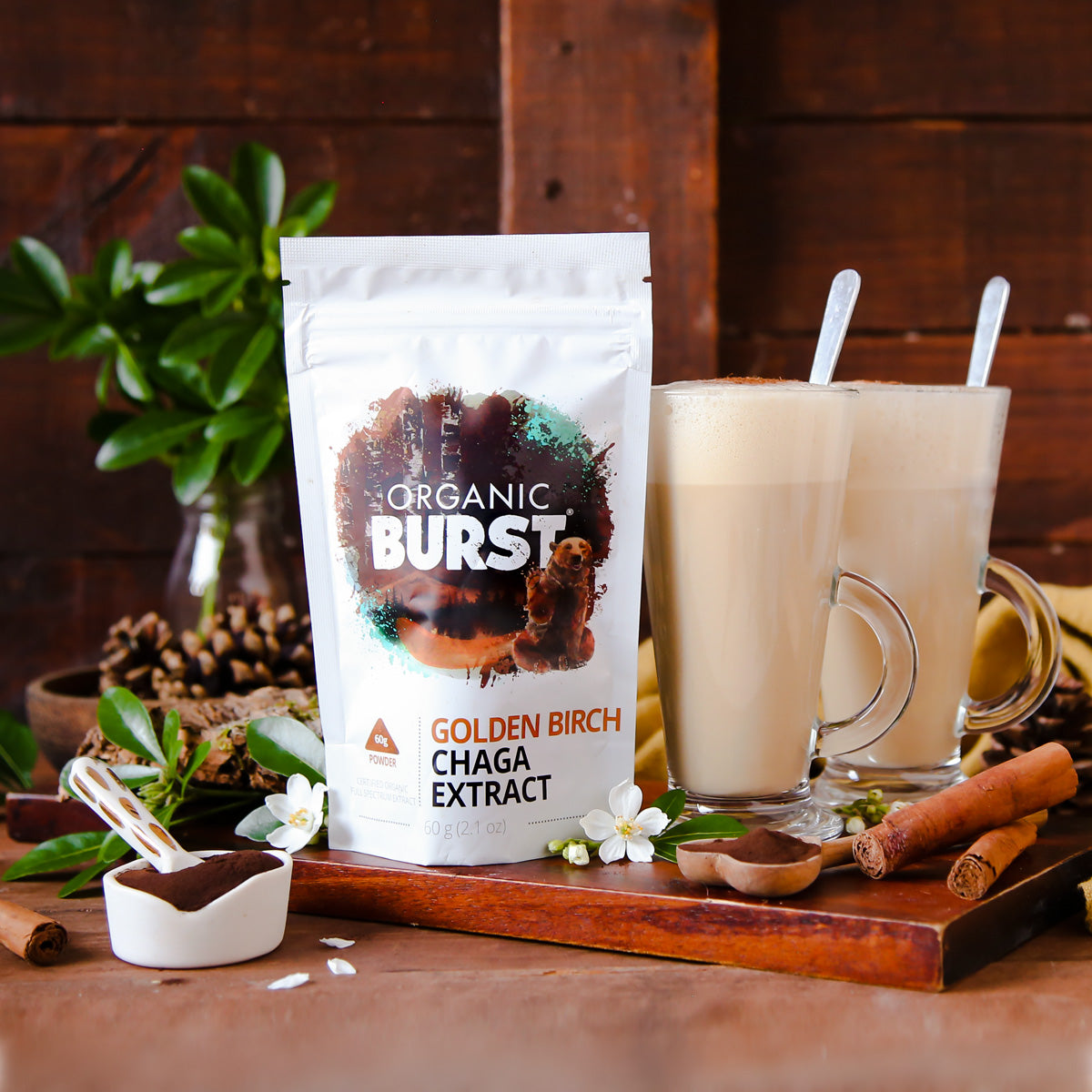 CHAGA MAX