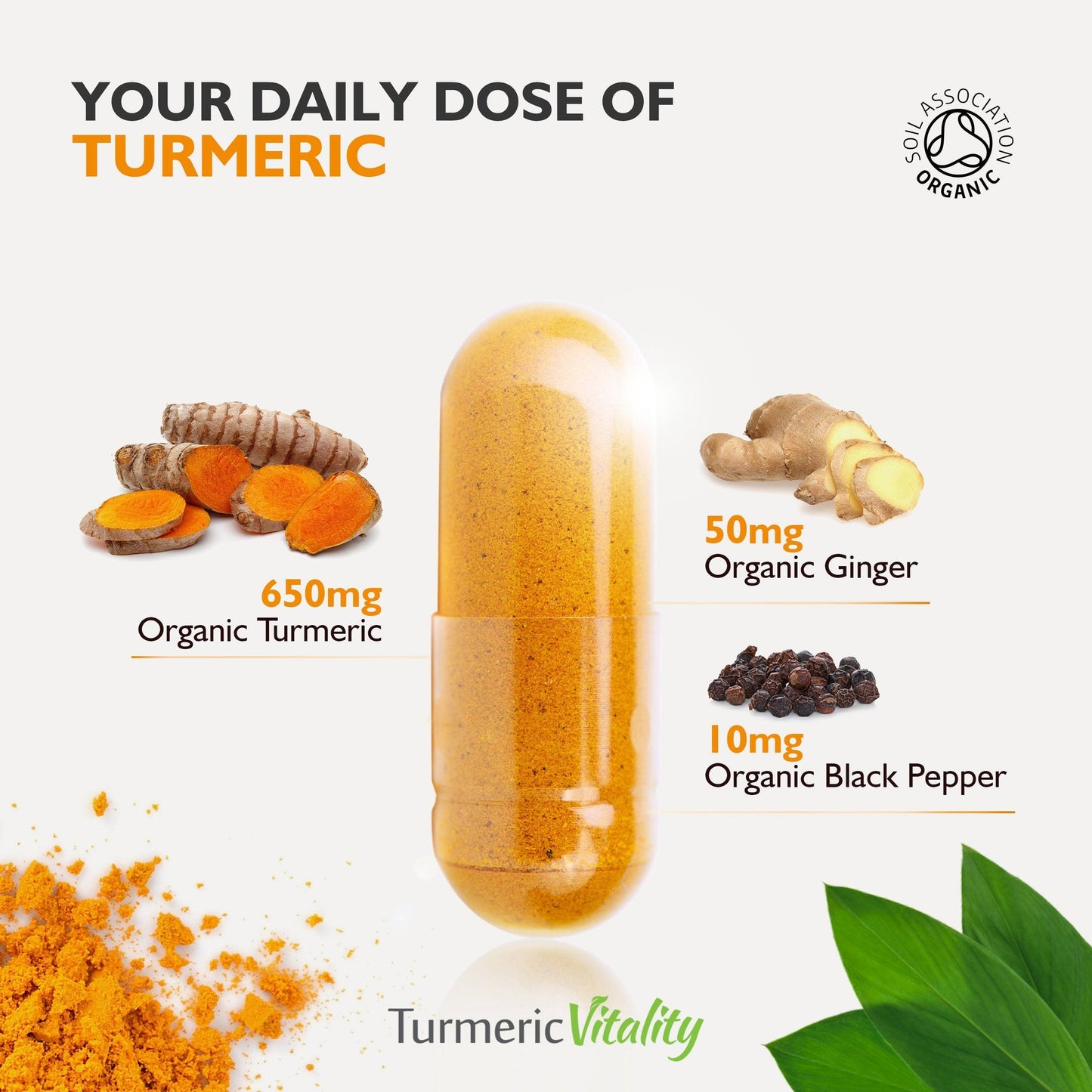 TURMERIC CMPLX 2000MG CAP 90CT NAT TRU