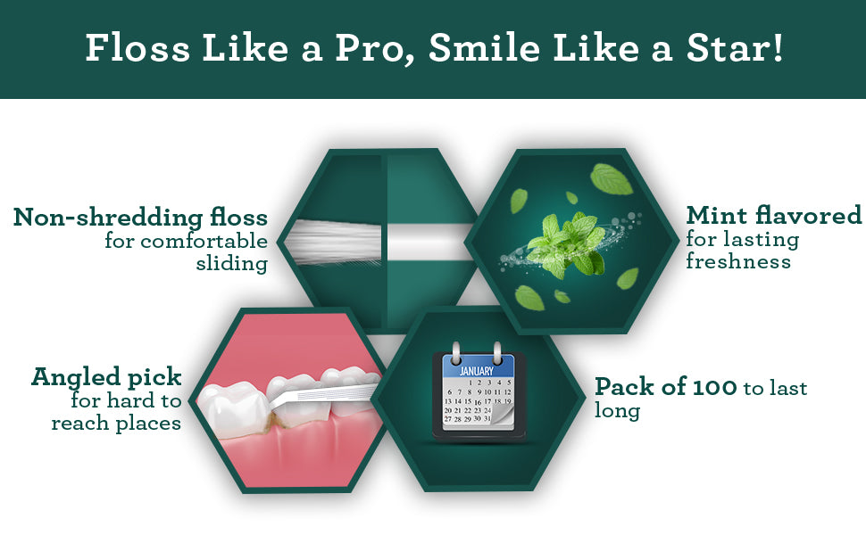 GNP FLOSS PICKS MINT 90CT