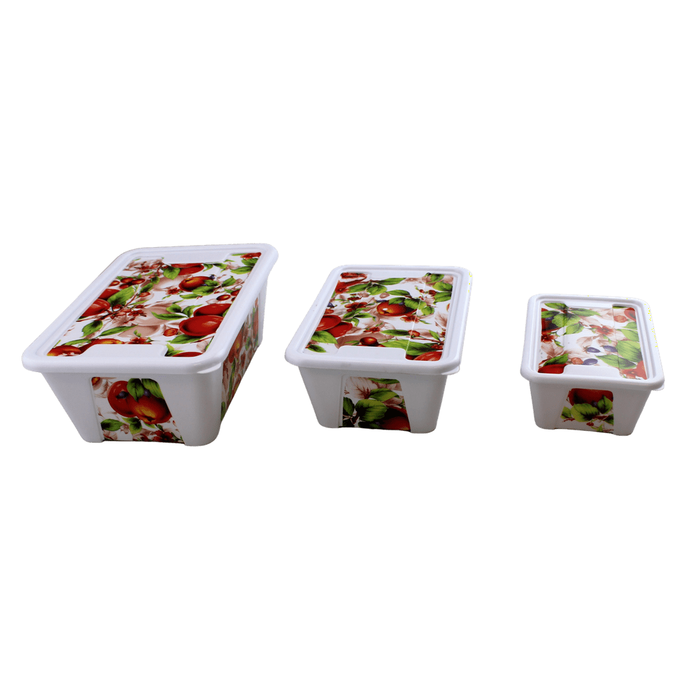 FOOD STORAGE,SNDWCH,ORANG