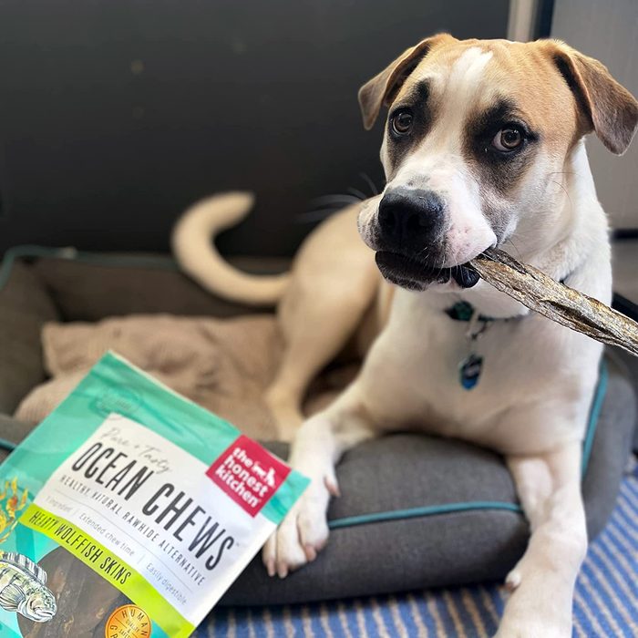 DOG TRT,OCEAN CHEW,SMALL