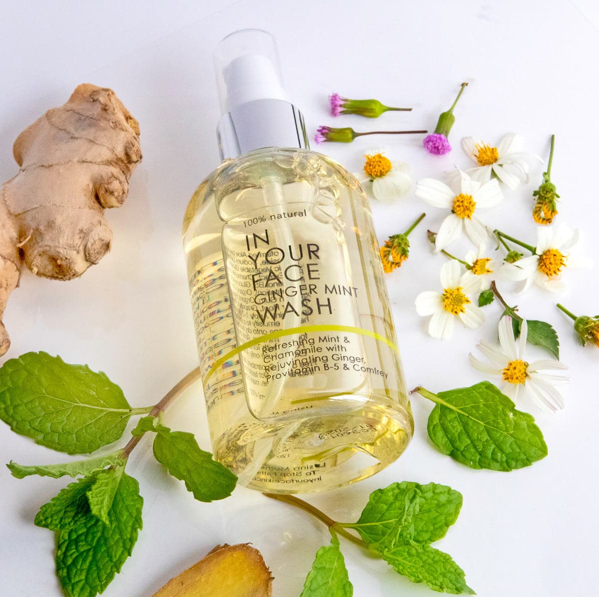 OYIN GINGER MINT CO-WASH 8OZ