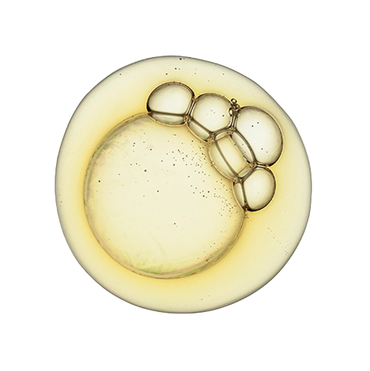 CNUT&JOJOBA OIL,OG2,COFF