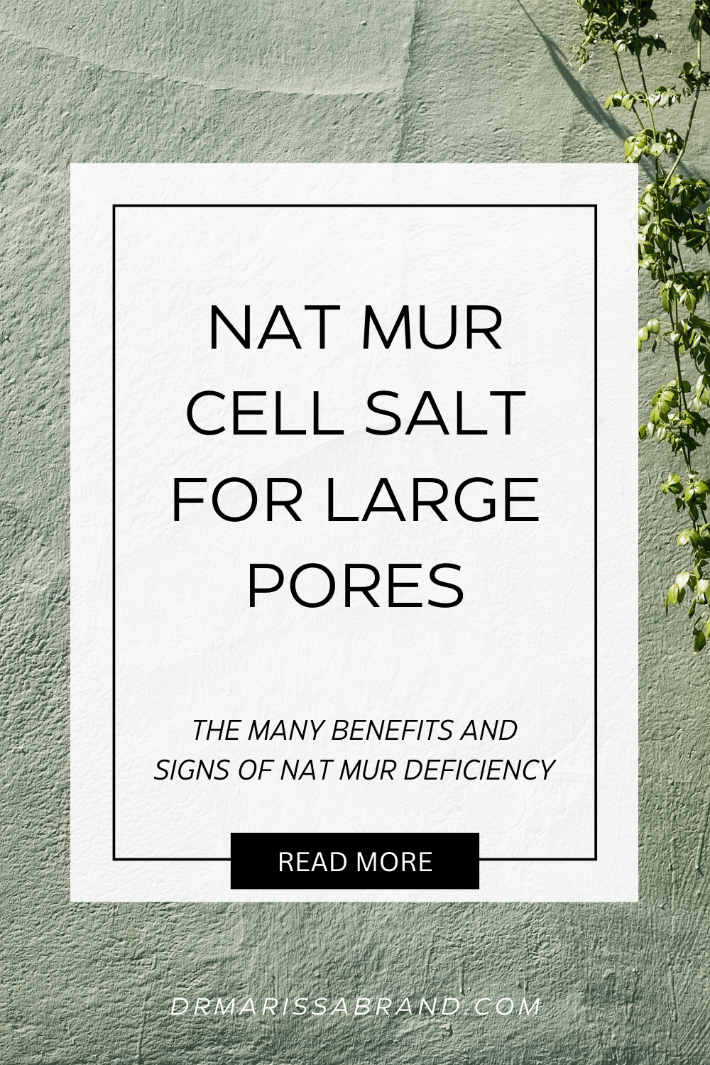 HYLAND'S NAT MUR 6X #9 CELL SALTS