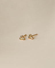BLK RAD PRSPWD GLDN CASHEW8618