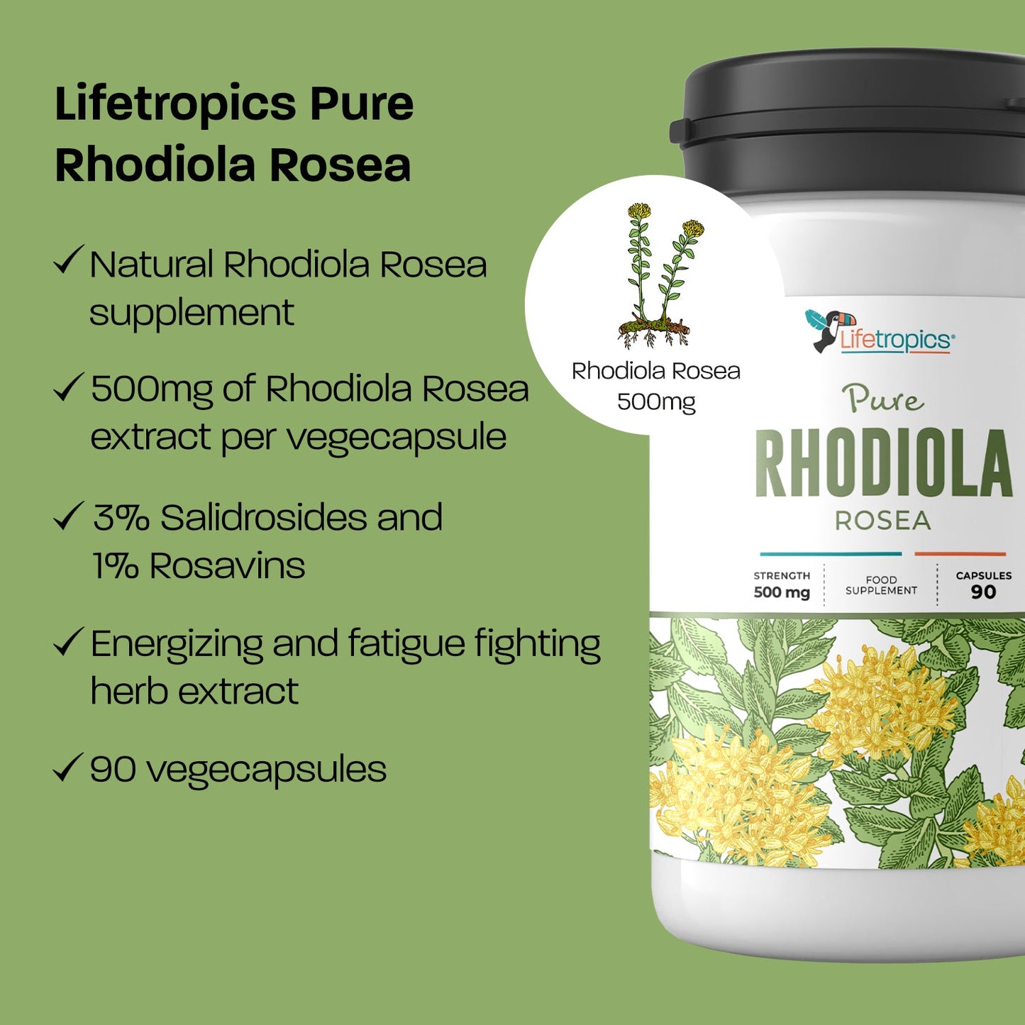 RHODIOLA ROSEA