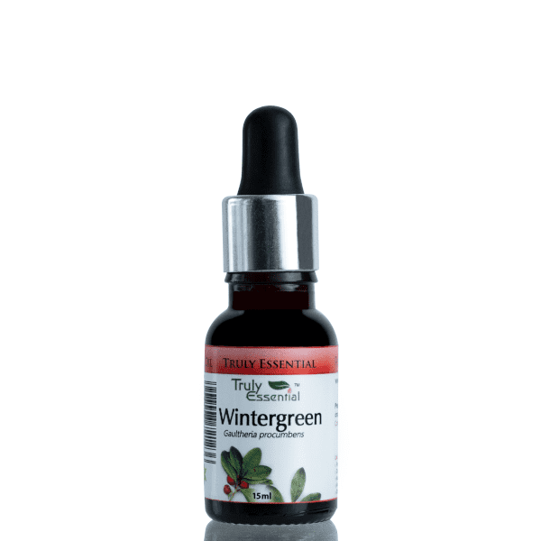 WINTERGREEN OIL LQ 2OZ SYNTHETIC