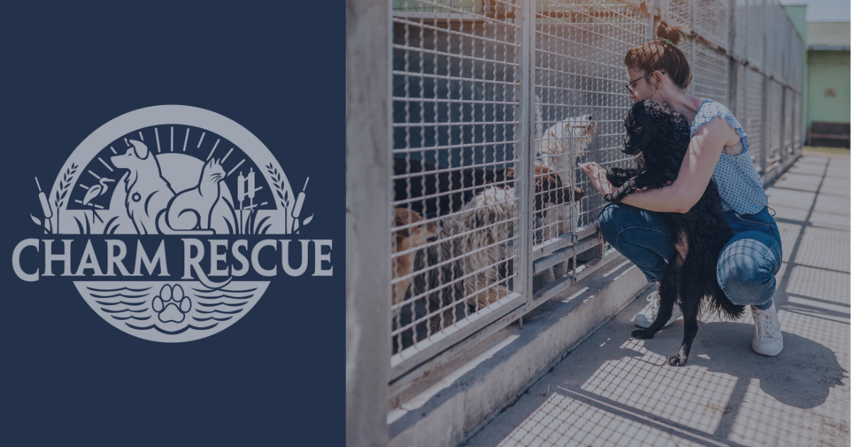 AC RESCUE CHARM OL 0.5OZ PURIFY