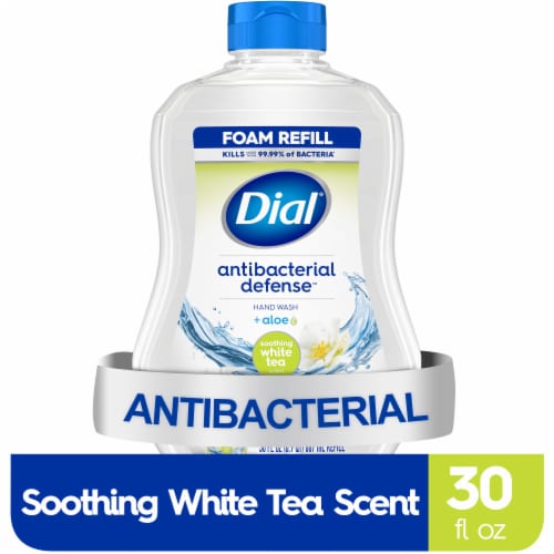 Dial Foaming Hand Wash 7.5oz Anti-Bacterial White Tea