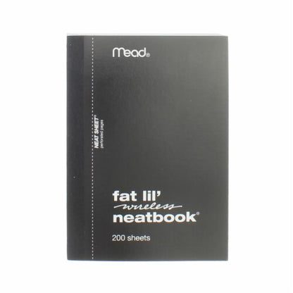 Mead Fat Lil' Wireless Neatbook, College Ruled - Assorted Colors