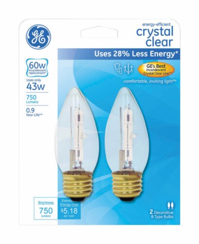 GE 40W Crystal Clear Multi-Use Blunt Tip Decorative Light Bulbs (2-Pack)