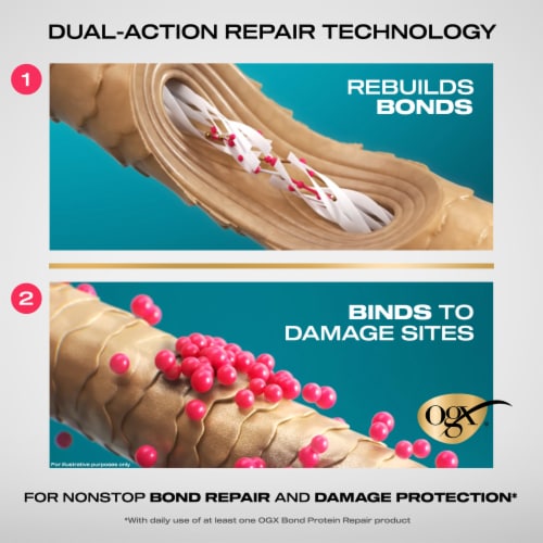 Ogx Conditioner Bond Protein Repair 13oz
