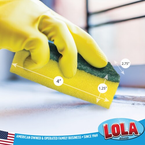 Lola Products Pot Brite Scour N' Sponge Dual Purpose Non-Scratch Dish Scrub Sponges, 2 pack