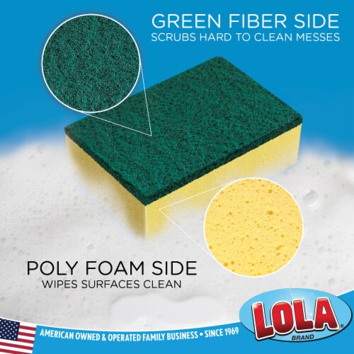 Lola Products Pot Brite Scour N' Sponge Dual Purpose Non-Scratch Dish Scrub Sponges, 2 pack