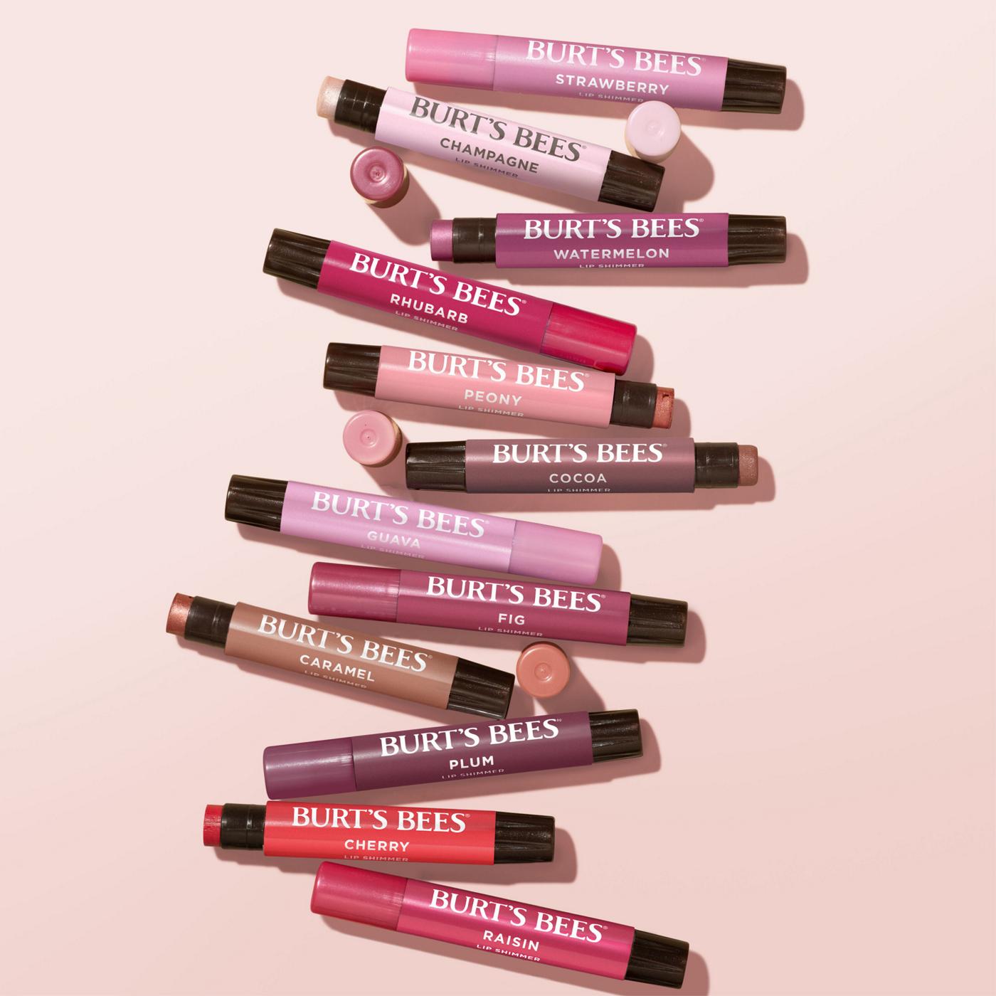 Burt's Bees Lip Shimmer - Guava Shimmer
