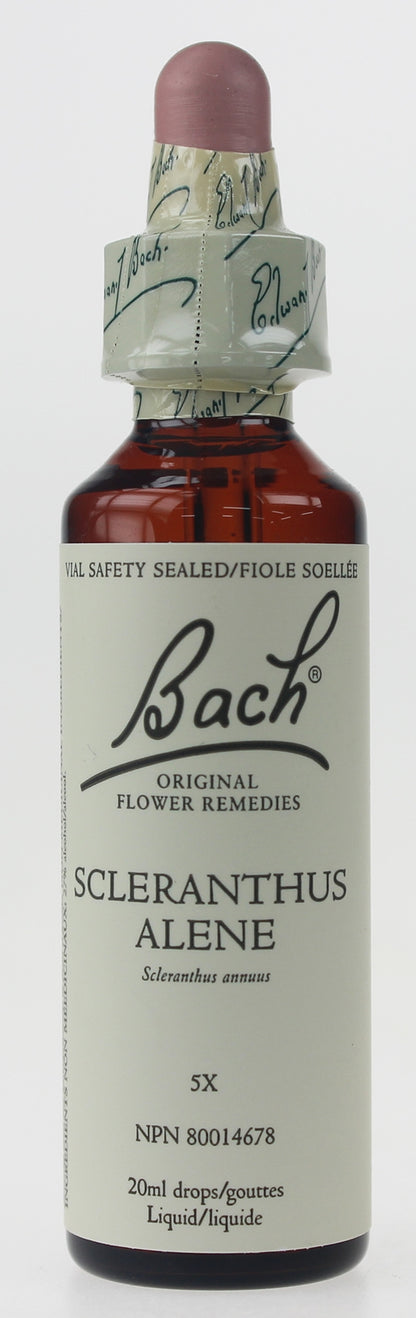 BACH SCLERANTHUS