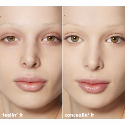 CONCEALER CAMO & CONT LIGHT