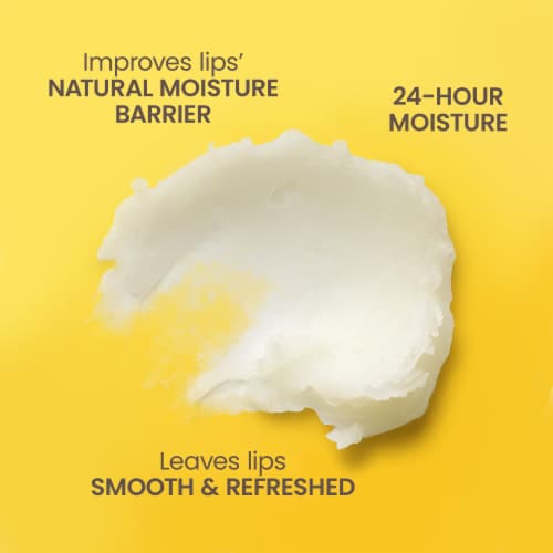 Burt's Bees Moisturizing Lip Balm - Beeswax