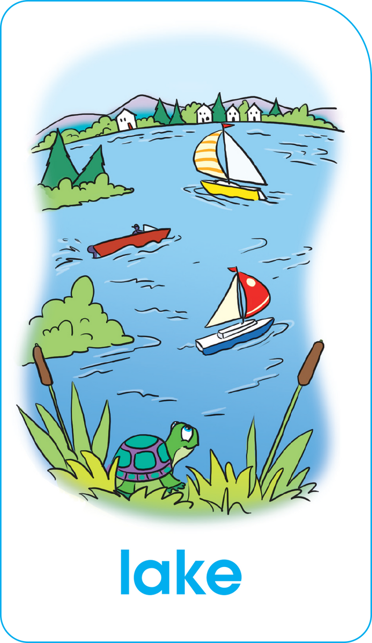 School Zone Flash Cards Word Families