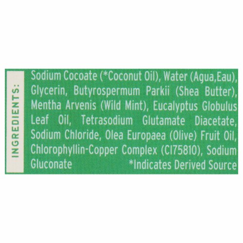 BRIXY BODY WASH BAR,MNT EUCLYPT